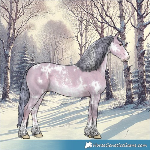 Horse Color:Watercolor White Spotted Liver Red Dun Mushroom Sabino 