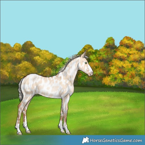 Horse Color:Silver Bay Snowdrop Pearl Dun Near Leopard Rabicano 