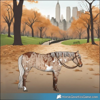 Horse Color:White Spotted Silver Bay Dun Brindle 