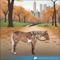 Horse Color:White Spotted Silver Bay Dun Brindle