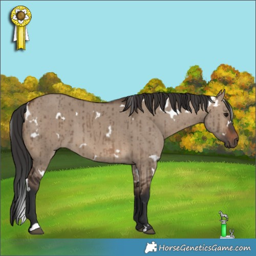 Horse Color:White Spotted Brown Dun Brindle 