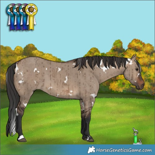 Horse Color:White Spotted Brown Dun Brindle 