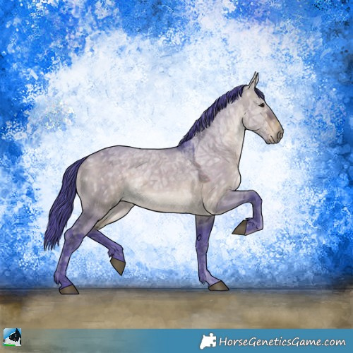 Horse Color:Watercolor Brown Ice Dun Rabicano 