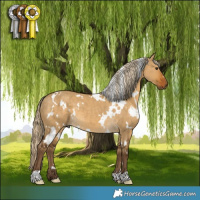 Horse Color:White Spotted Chocolate Palomino Dun 