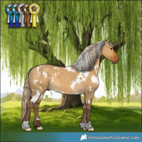 Horse Color:White Spotted Chocolate Palomino Dun 