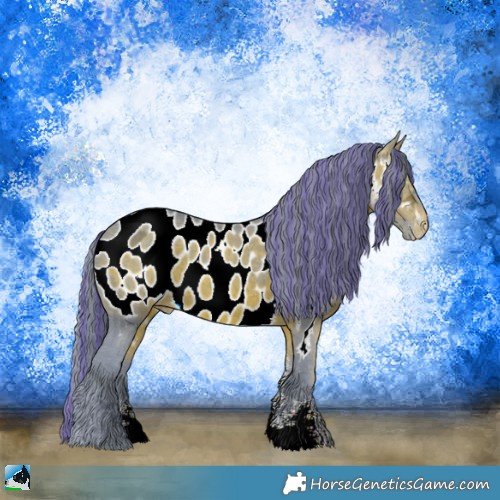 Horse Color:Painted Watercolor Brown Ice Sabino Appaloosa 