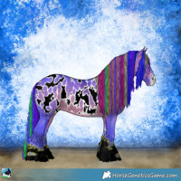 Horse Color:Painted Watercolor Bay Ice Sabino Appaloosa