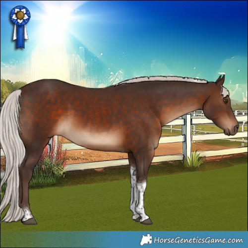 Horse Color:Silver Brown Tobiano