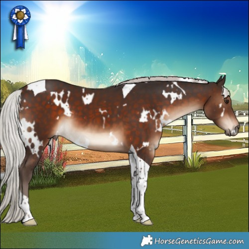 Horse Color:White Spotted Silver Brown Tobiano 