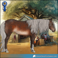 Horse Color:Silver Brown Tobiano 
