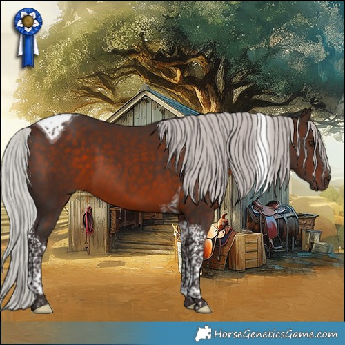 Horse Color:Silver Brown Tobiano 