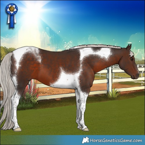 Horse Color:Silver Brown Tobiano