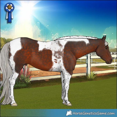 Horse Color:Silver Brown Tobiano 