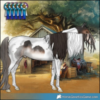 Horse Color:Liver Chestnut Tobiano Rabicano 