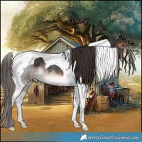 Horse Color:Liver Chestnut Tobiano Rabicano 