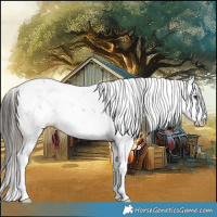 Horse Color:Liver Chestnut Ice Sabino 