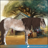 Horse Color:Liver Red Dun Ice Sabino 