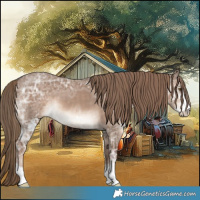 Horse Color:Liver Red Dun Ice Sabino 