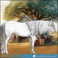 Horse Color:Liver Chestnut Ice Sabino 