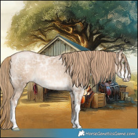 Horse Color:Liver Red Dun Ice Pearl Sabino 
