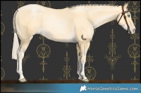 Horse Color:Palomino Pearl 