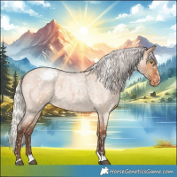 Horse Color:Silver Bay Roan Dun Appaloosa Rabicano 