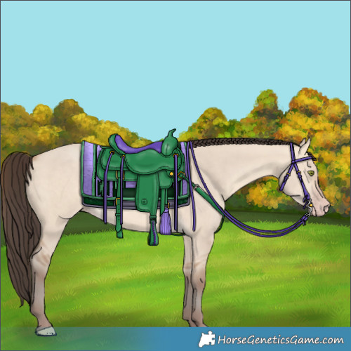 Horse Color:Amber Champagne Dun