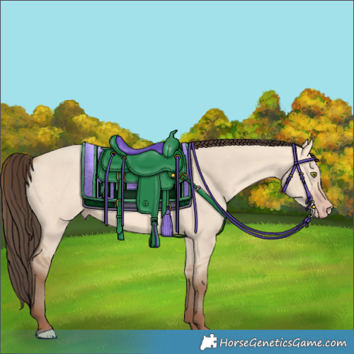 Horse Color:Amber Champagne Dun 