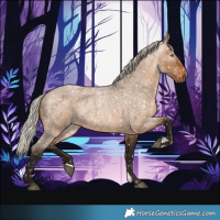 Horse Color:Gray Silver Bay Roan Dun Snowflake Varnish Rabicano