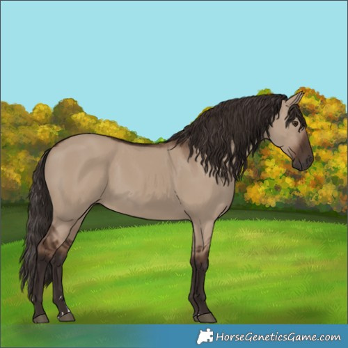 Horse Color:Liver Red Dun 