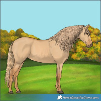 Horse Color:Red Dun 