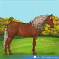 Horse Color:Chestnut 