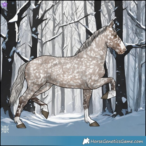 Horse Color:Silver Brown Roan Dun Appaloosa Rabicano