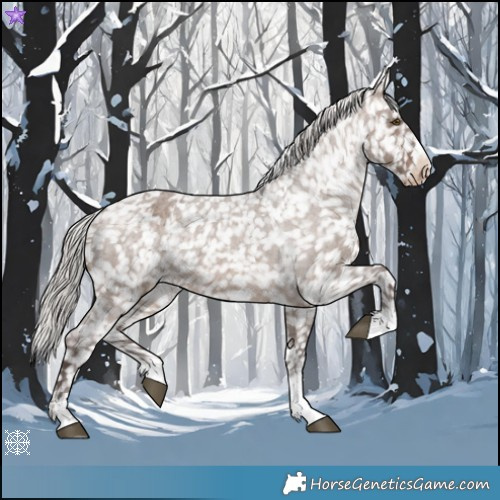 Horse Color:Silver Brown Roan Dun Appaloosa Rabicano 