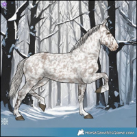 Horse Color:Silver Brown Roan Dun Appaloosa Rabicano 