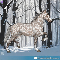 Horse Color:Silver Brown Roan Dun Snowflake VarnishRabicano 