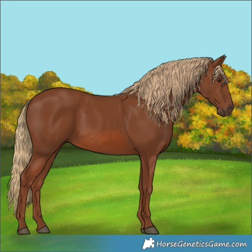 Horse Color:Chestnut 