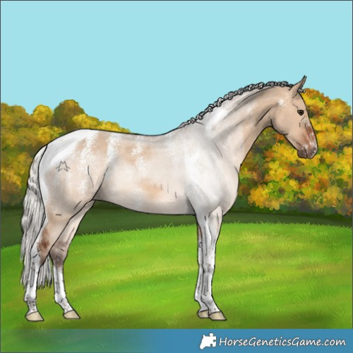 Horse Color:Powder White Silver Brown Dun Tobiano 