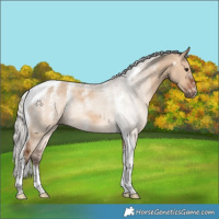Horse Color:Powder White Silver Brown Dun Tobiano 