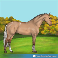 Horse Color:Powder White Silver Bay Dun Rabicano 