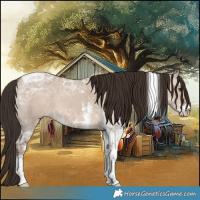 Horse Color:Liver Red Dun Ice Sabino Tobiano 