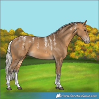 Horse Color:Powder White White Spotted Silver Buckskin 