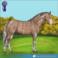 Horse Color:Powder White White Spotted Silver Brown Dun