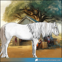 Horse Color:Liver Red Dun Pearl Sabino 