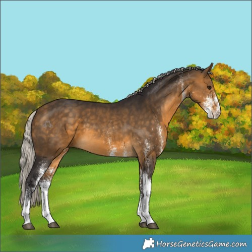 Horse Color:White Spotted Silver Buckskin Tobiano