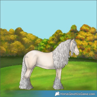 Horse Color:Silver Sable Cream Champagne Pearl Tobiano 