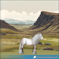 Horse Color:Gray White Spotted Silver Sable Champagne Tobiano Appaloosa