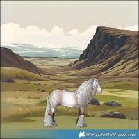 Horse Color:Gray White Spotted Silver Sable Champagne Tobiano Appaloosa 