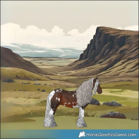 Horse Color:White Spotted Silver Brown Tobiano
