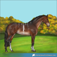 Horse Color:Powder White White Spotted Bay Rabicano 